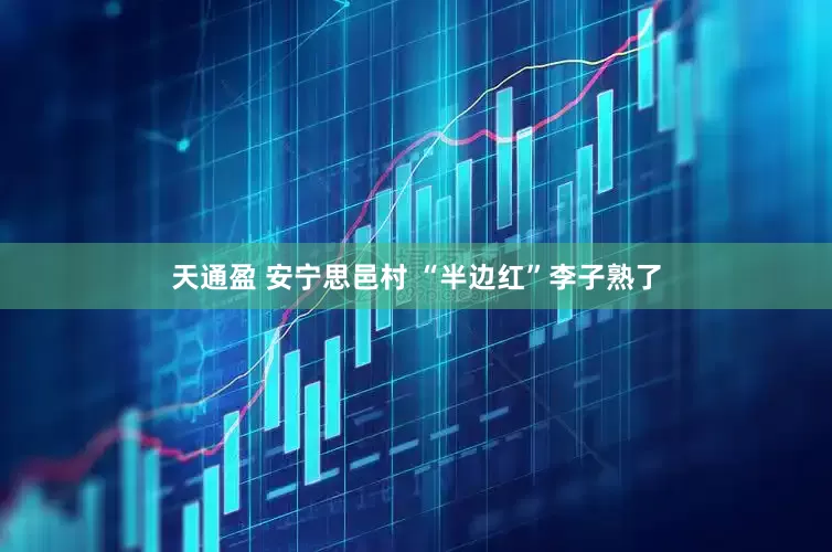 天通盈 安宁思邑村 “半边红”李子熟了