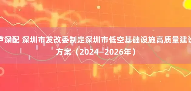 泸深配 深圳市发改委制定深圳市低空基础设施高质量建设方案（2024—2026年）